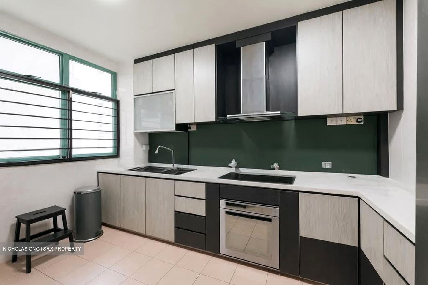 Blk 484 Segar Gardens (Bukit Panjang), HDB Executive #546657911